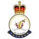 HAC Honourable Artillery Company Northern Ireland Veterans Sticker Op Banner